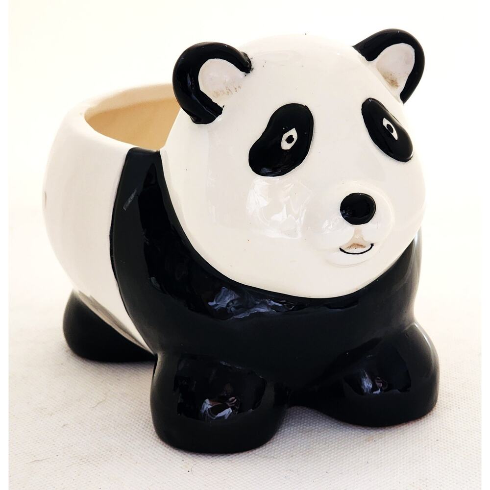 Plant Holder-Black and White Panda-Open Area for Small Succulent or Other Plant